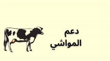 ماهي طريقة التسجيل في دعم مربي الماشية؟ .. وزارة الزراعة توضح