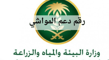 وزارة البيئة والمياه والزراعة تكشف عم رقم دعم المواشي في السعودية