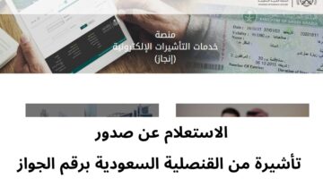 “وزارة الخارجية السعودية” توضح ما هي خطوات الإستعلام عن التاشيرة برقم الجواز؟