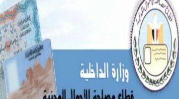 وزارة الداخلية تعلن عقوبة وغرامة عدم تجديد البطاقة في الميعاد المحدد لها