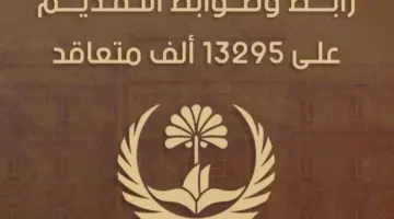 ينتهي قريبًا .. “ديوان محافظة البصرة” يُعلن استمرار التقديم على 13 الف درجة وظيفية جديدة