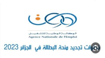 “الحكومة الجزائرية” تكشف رابط تجديد منحة البطالة وأهم الشروط المطلوبة 1445