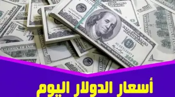 سعر الدولار اليوم مقابل الجنيه المصري في جميع البنوك السبت 23 ديسمبر 2023