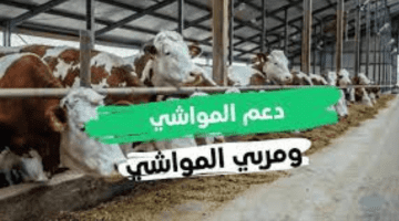 “وزارة البيئة والمياه والزراعة السعودية”… تكشف عن خطوات الاستعلام عن دعم المواشي
