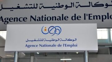 رابط التسجيل في منحة البطالة بالجزائر 2024 بقيمة 15 ألف دينار شهرياً وشروط الحصول عليها