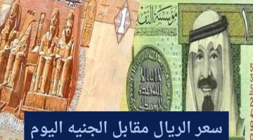ارتفاع طفيف بسعر الريال السعودي مقابل الجنيه المصري اليوم بالأسواق