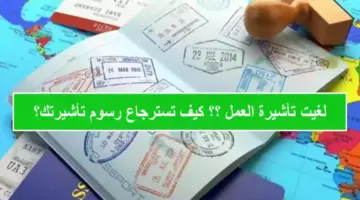 “الحكومة السعودية” تُتيح خدمة استرجاع رسوم تأشيرة العمل حال إلغائها اون لاين