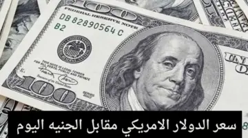 ” متابعة دورية” سعر الدولار اليوم مقابل الجنيه المصري في جميع البنوك المصرية
