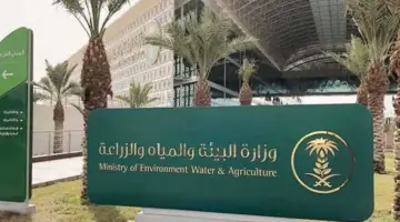 وزارة البيئة والمياه والزراعة تكشف عن موعد انطلاق موسم عتيقة للحمضيات الأول ١٤٤٥