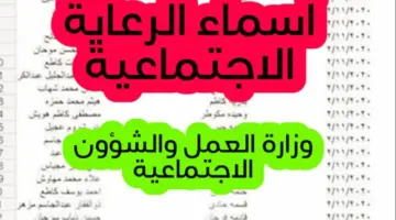 قائمة اسماء المشمولين بالرعاية الاجتماعية الوجبة الأخيرة في العراق إلكترونيا
