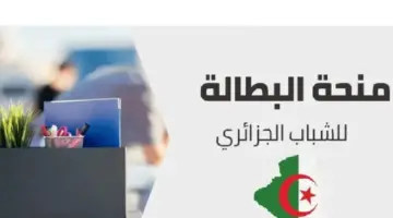 الحكومة الجزائرية تعلن خطوات الاستعلام عن وضعية منحة البطالة وقيمتها بعد الزيادة