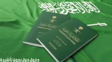 تأكيدًا لريادة المملكة..”جواز السفر السعودي” يسمح بدخول 89 دولة بدون تأشيرة مسبقة