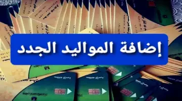” الآن” إضافة المواليد علي بطاقات التموين عبر مصر الرقمية digital.gov.eg