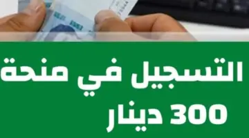 رابط التسجيل في منحة 300 دينار تونس 2024  وشروط الحصول على المنحة