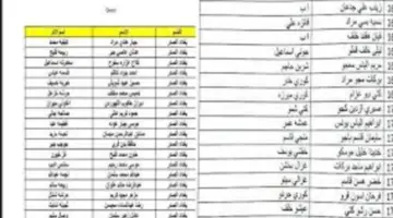 “أخيرًا ظهور كشوفات PDF” وزارة العمل العراقي تكشف عن اسماء المشمولين بالرعاية الاجتماعية الوجبة الاخيرة