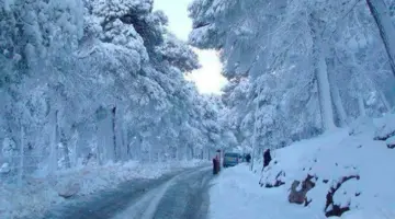 “مصالح الأرصاد الجوية”.. تعلن عن تساقط الثلوج في الجزائر 2024 على عدة ولايات