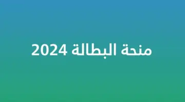 قدم الآن في منحة البطالة الجديدة في الجزائر 2024 وما هي أهم شروط التقديم