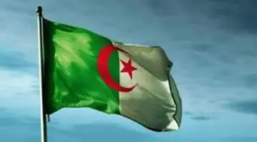 عاجل .. وزارة العمل الجزائرية تكشف رابط تجديد منحة البطالة للتسجيل والاستفادة من الدعم 2024