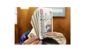“المالية المصرية” تحدد موعد صرف مرتبات شهر يناير وزيادة الحد الأدنى للأجور 2024