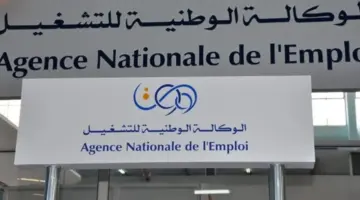موقع منحة البطالة minha anem dz للتسجيل والاستفادة من 20 ألف دينار جزائري
