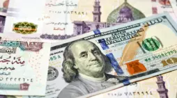 مقالة  : سعر الدولار اليوم السبت 13 يناير 2024 مقابل الجنيه المصري شراء وبيع