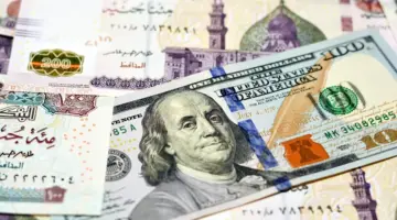سعر الدولار اليوم السبت 13 يناير 2024 مقابل الجنيه المصري شراء وبيع