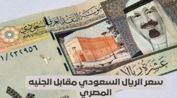 ما هو سعر الريال مقابل الجنيه المصري اليوم 20 يناير 2024؟