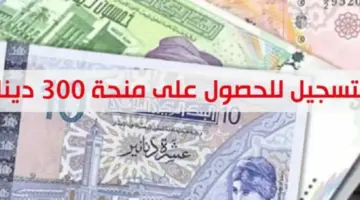 ما هو رابط التسجيل في منحة تونس 300 دينار وأهم الشروط المطلوبة ؟ .. ” قدم الآن”