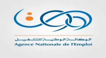 الوكالة الوطنية للتشغيل توضح خطوات حجز موعد مقابلة منحة البطالة 2024 الجزائر