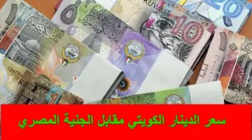 بعد اجتماع المركزي.. سعر الدينار الكويتي مقابل الجنية المصري في السوق السوداء اليوم