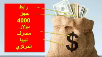 link now.. الآن رابط حجز 4000 دولار عبر مصرف ليبيا المركزي أون لاين fcms.cbl.gov