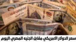 مقالة  : تحديث صادم حول سعر الدولار اليوم مقابل الجنيه المصري وسعر الشراء يصل لهذا الرقم