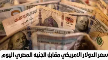 تحديث صادم حول سعر الدولار اليوم مقابل الجنيه المصري وسعر الشراء يصل لهذا الرقم