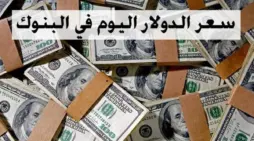 مقالة  : ” استقرار ملحوظ” في سعر الدولار مقابل الجنيه المصري اليوم الأحد 11 فبراير 2024