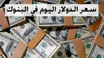 ” استقرار ملحوظ” في سعر الدولار مقابل الجنيه المصري اليوم الأحد 11 فبراير 2024