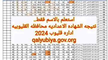 استعلم بالاسم فقط.. نتيجه الشهاده الاعداديه محافظه القليوبيه اداره قليوب 2024 عبر qalyubiya.gov.org