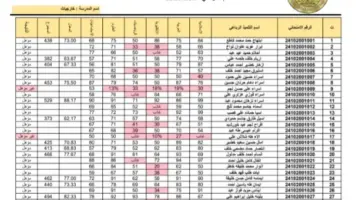 “هنا” .. رابط تحميل نتائج الطلاب السادس الابتدائي التمهيدي 2024 pdf محافظة البصرة
