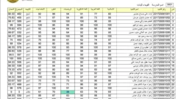 وزارة التربية العراقية تعلن..نتائج السادس الابتدائي 2024 العراق عبر هذا الرابط