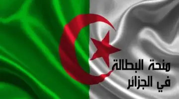 الوكالة الوطنية للتشغيل تعلن عن تجديد منحة البطالة بالجزائر 2024 عبر هذا الرابط