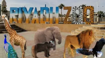 ما هي أهم المعلومات عن حديقة الحيوان الرياض في المملكة؟