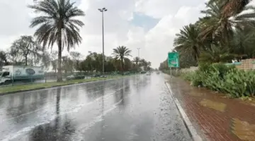 “الأرصاد” تحذر المواطنين من هطول أمطار ورياح مثيرة للأتربة في مناطق الحدود الشمالية وتبوك