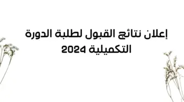 “هنا” رابط نتائج القبول الموحد للدورة التكميلية 2024 وزارة التعليم العالي الأردن