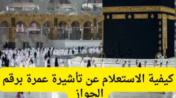 ما خطوات الاستعلام عن تأشيرة عمرة برقم الجواز؟.. وزارة الحج والعمرة تُجيب
