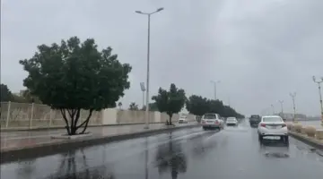 أمطار وضباب على معظم مناطق المملكة.. الأرصاد تحذر من حالة الطقس اليوم
