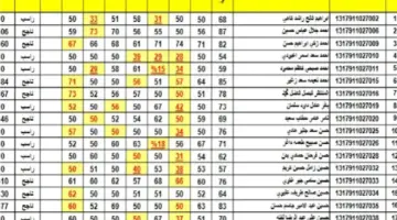 لينك نتائج الثالث متوسط 2024 الدور الأول وزارة التربية العراقية Epedu.gov.iq