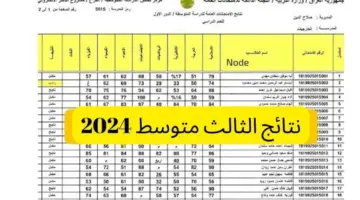 نتائج الثالث متوسط تمهيدي 2024 موقع نتائجنا PDF رابط وزارة التربية العراقية
