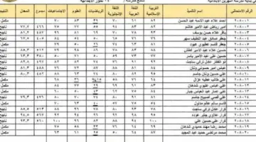 رابط نتائج السادس الابتدائي 2024 العراق جميع المحافظات وزارة التربية العراقية