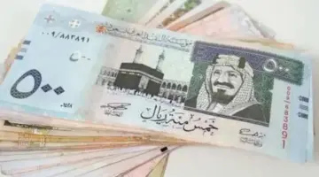 “المركزي” يعلن سعر الريال السعودي مقابل الجنيه المصري اليوم الثلاثاء 5 مارس 2024