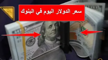 بعد قرار المركزي.. سعر الدولار اليوم في البنوك المصرية والخليجية والعربية الأربعاء 6 مارس 2024