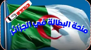 ما هي شروط الاستفادة من منحة البطالة في الجزائر 2024 والملف المطلوب ورابط التسجيل؟